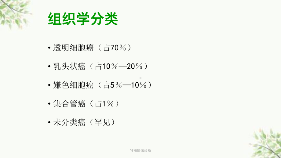 肾癌影像诊断课件.ppt_第3页