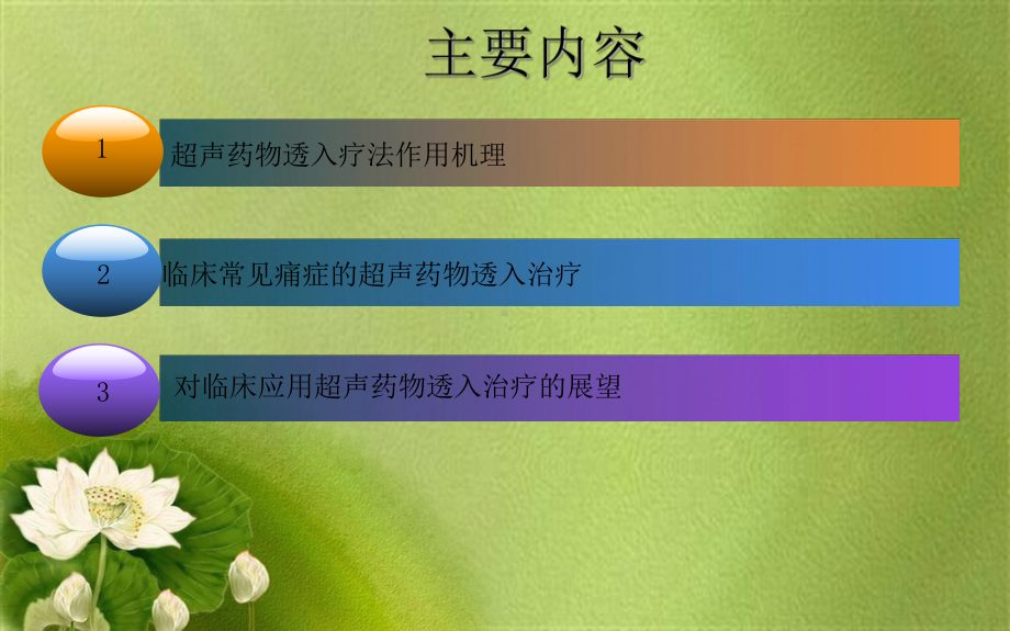 超声药物透入疗法对临床常见痛症的治疗优秀课件.pptx_第2页