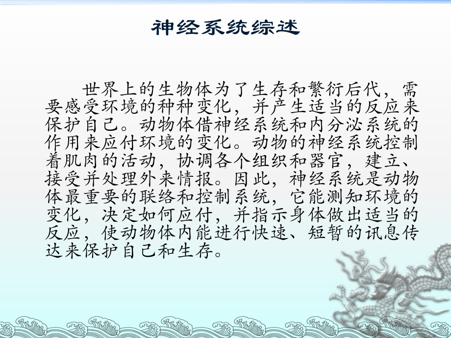 神经系统概述课件.ppt_第3页