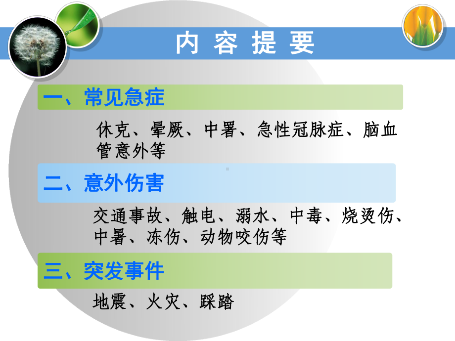 常见急症及意外伤害现场处理解析课件.ppt_第2页