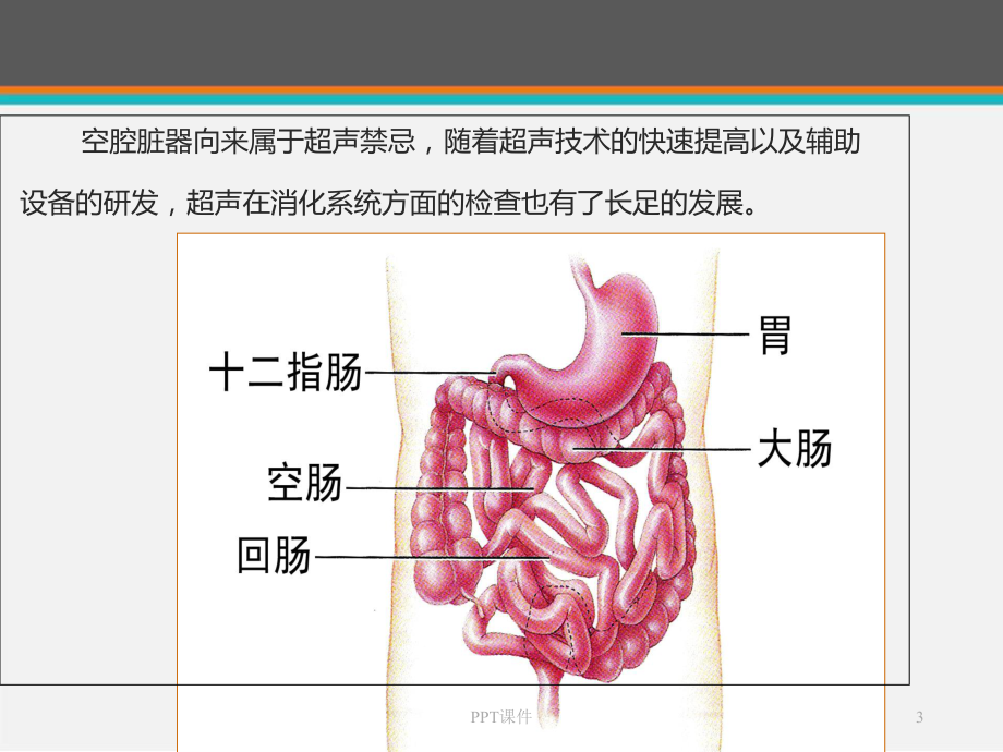 胃肠超声检查的临床应用-课件.ppt_第3页