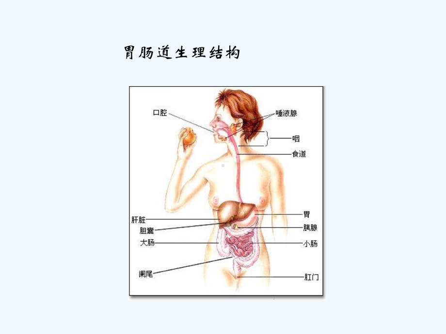 重症患者胃肠功能损伤的诊治课件.ppt_第3页