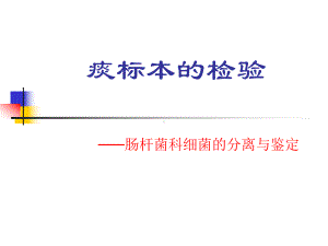 痰标本检验课件.ppt