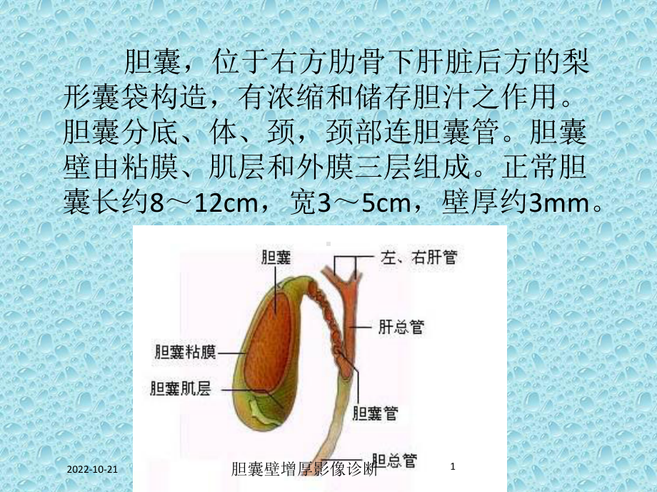 胆囊壁增厚影像诊断培训课件.ppt_第1页