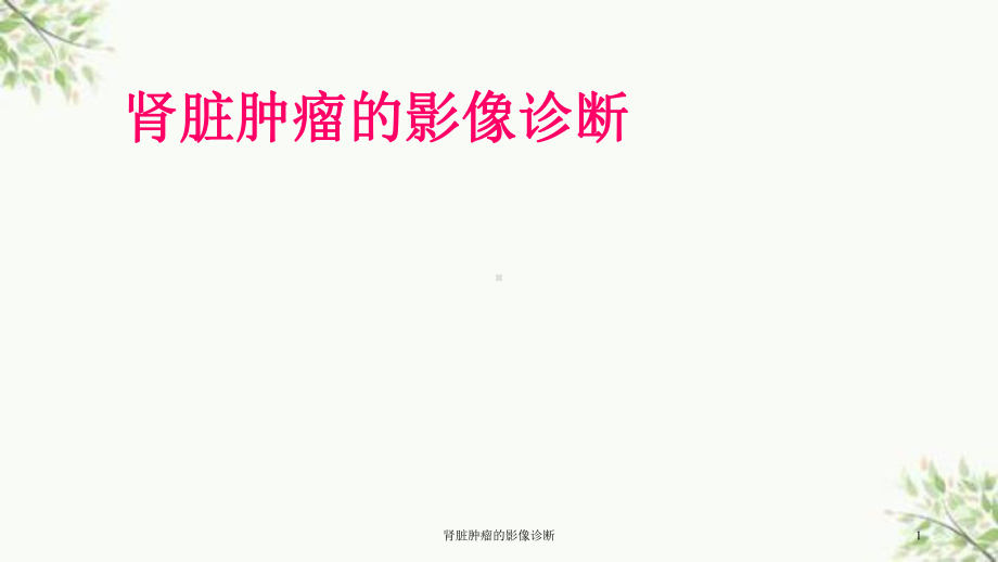 肾脏肿瘤的影像诊断课件.ppt_第1页