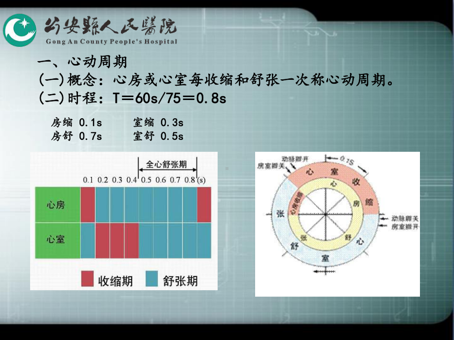 血液循环1心脏泵血功能2心肌的生物电现象和生理课件.pptx_第2页