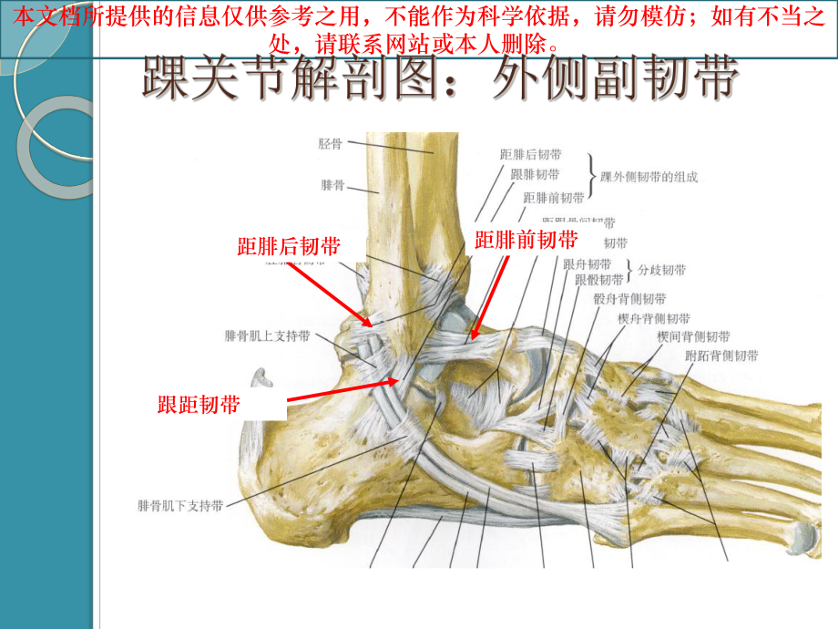 踝关节骨折分型培训课件.ppt_第1页