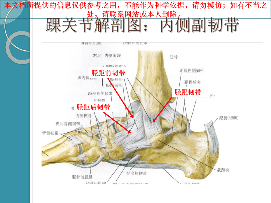 踝关节骨折分型培训课件.ppt_第2页