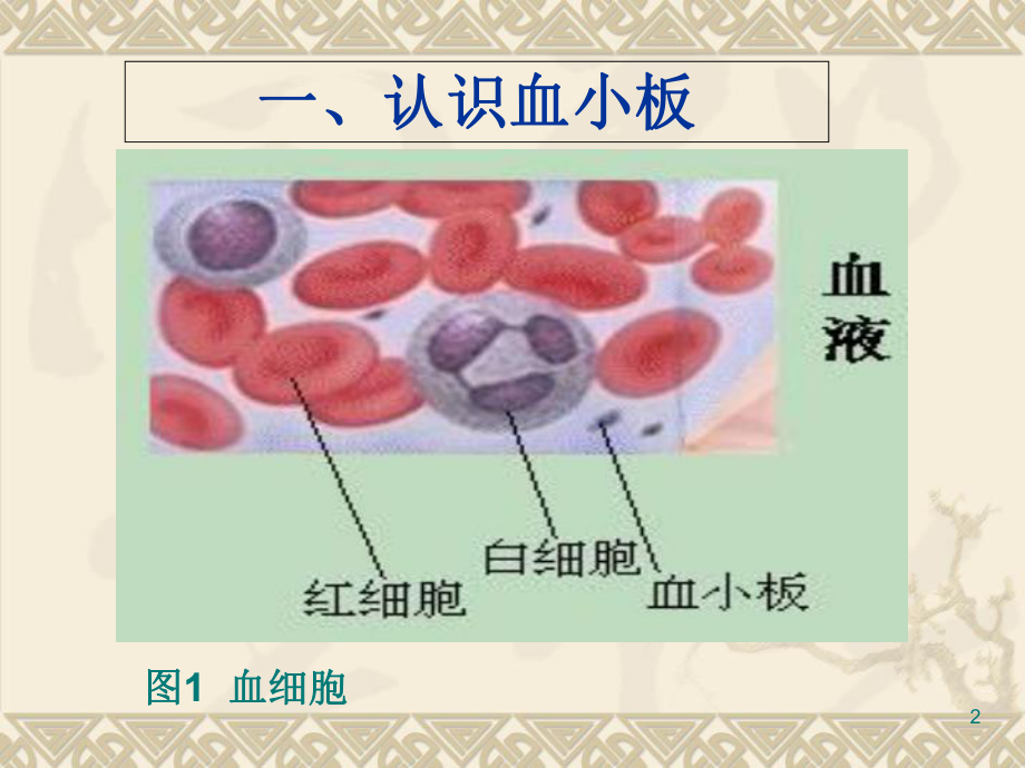 血小板临床应用课件.ppt_第2页