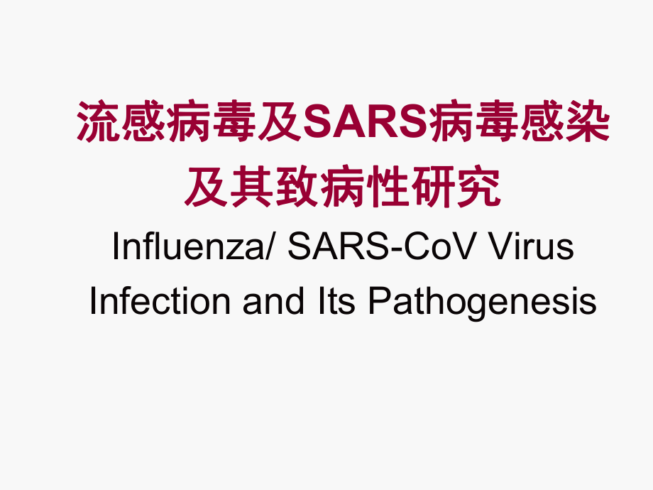 流感病毒与SARS病毒感染及其致病性研究专题讲座课件.ppt_第1页