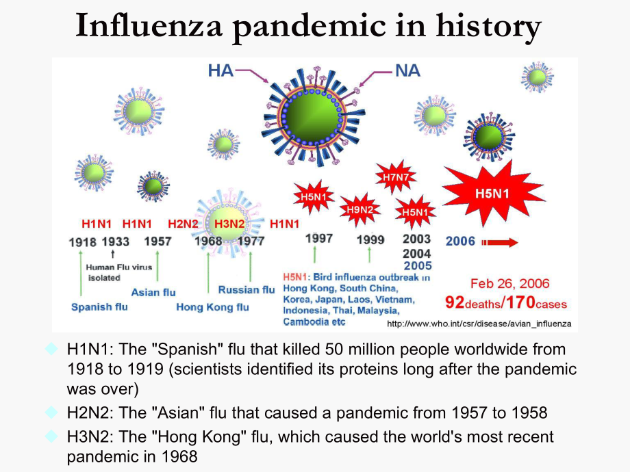 流感病毒与SARS病毒感染及其致病性研究专题讲座课件.ppt_第3页