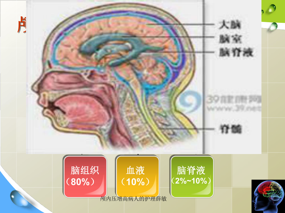 颅内压增高病人的护理课件-2.ppt_第3页