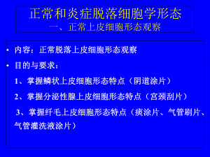 正常与炎症脱落细胞学形态课件.ppt