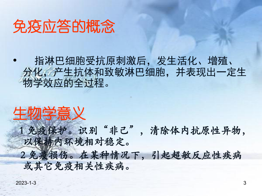 适应性免疫应答课件.ppt_第3页