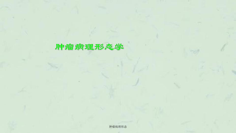 肿瘤病理形态课件.ppt_第1页