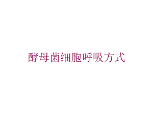 酵母菌细胞呼吸方式培训课件.ppt