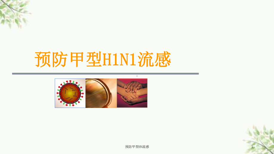 预防甲型HN流感课件.ppt_第1页