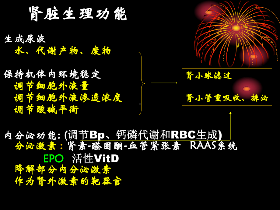 肾功能烟台课件.pptx_第3页