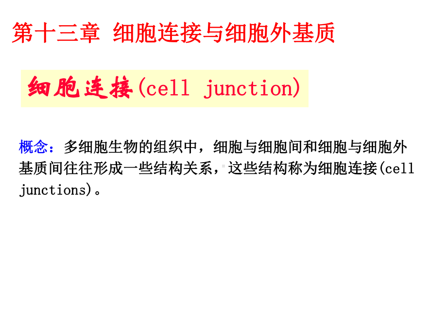 细胞生物学-细胞连接与细胞外基质课件.ppt_第1页