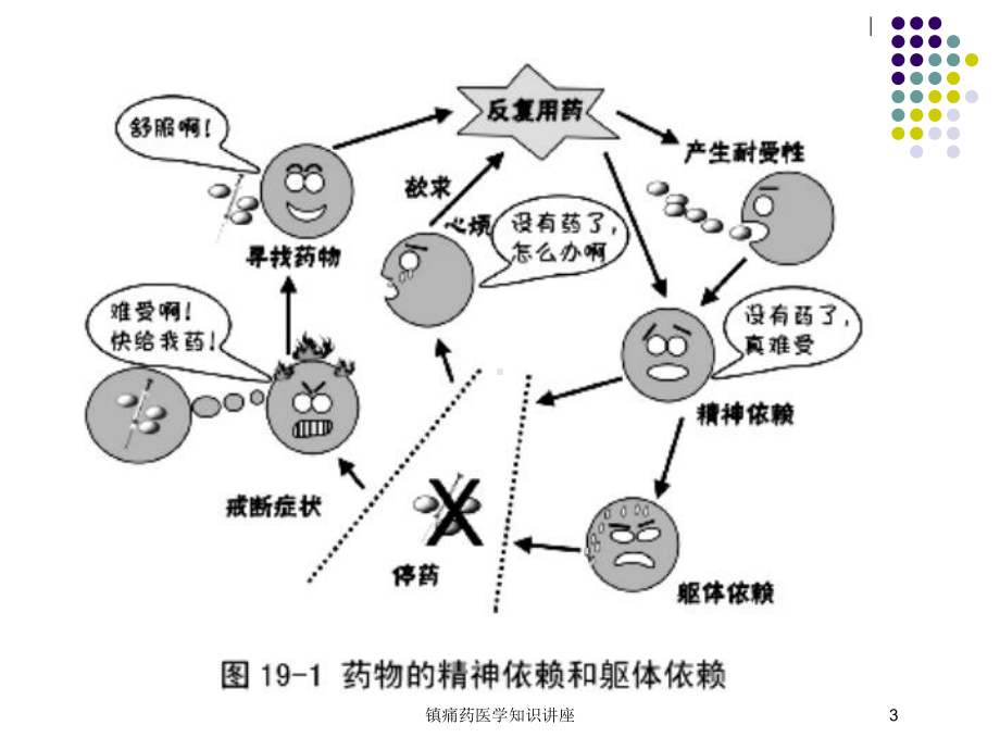 镇痛药医学知识讲座培训课件.ppt_第3页