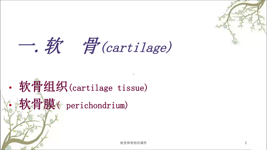 软骨和骨组织课件.ppt_第2页