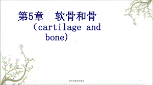 软骨和骨组织课件.ppt