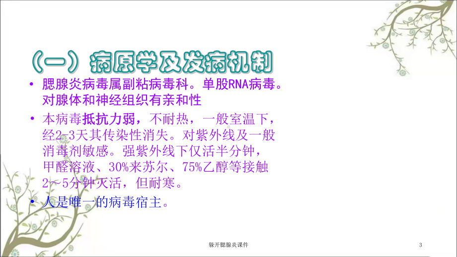 躲开腮腺炎课件.ppt_第3页