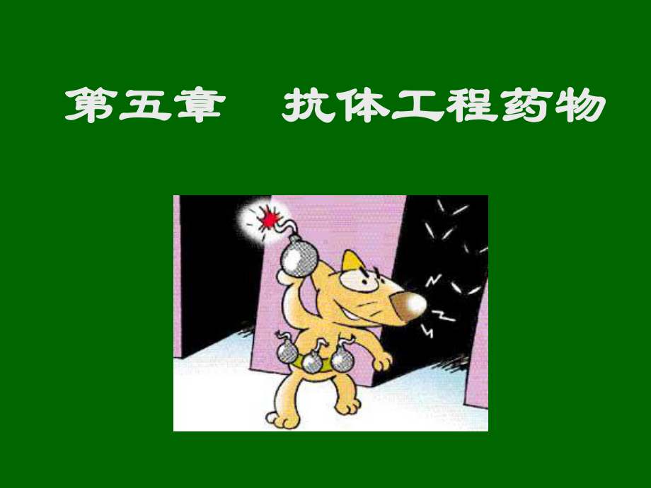 抗体工程药物课件.ppt_第1页