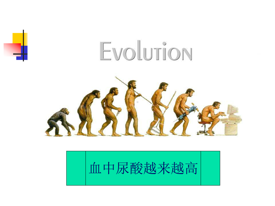 痛风患者的治疗和生活指导课件.ppt_第2页