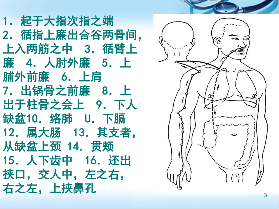 手阳明大肠经医学课件.ppt_第3页