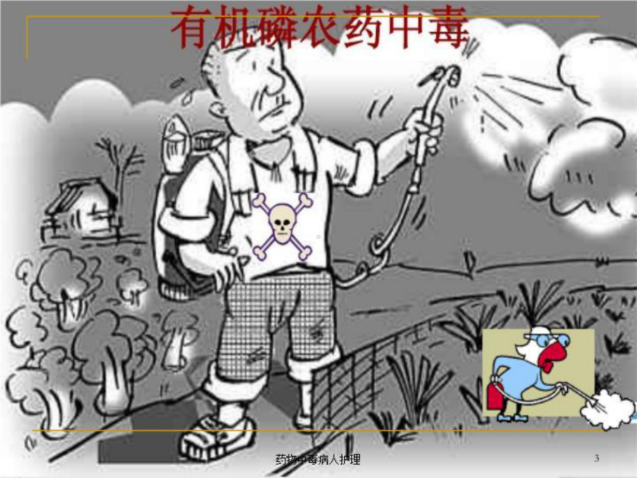 药物中毒病人护理培训课件.ppt_第3页