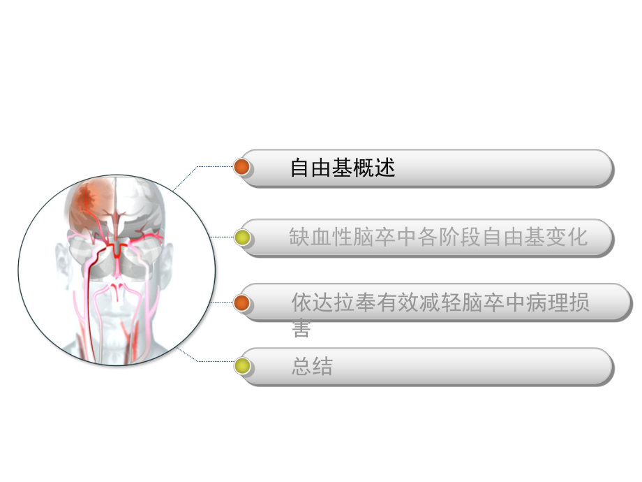 自由基对神经损伤机理研究课件.pptx_第2页