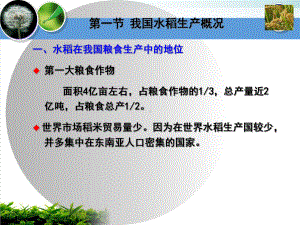 水稻的概况起源与分类培训课件.pptx