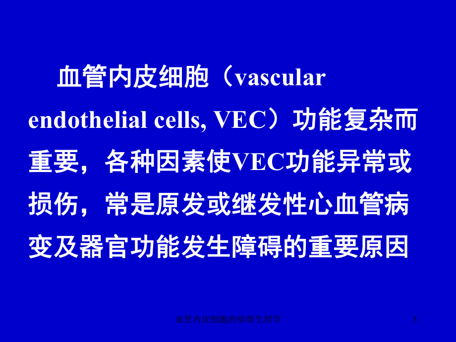 血管内皮细胞的病理生理学课件.ppt_第3页