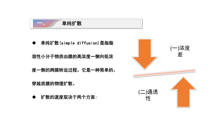 生理学第二章-细胞的基本功能课件.ppt_第3页