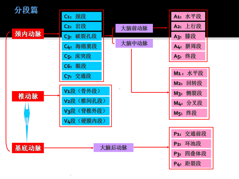 脑动脉侧枝代偿及其评价手段课件.ppt_第2页