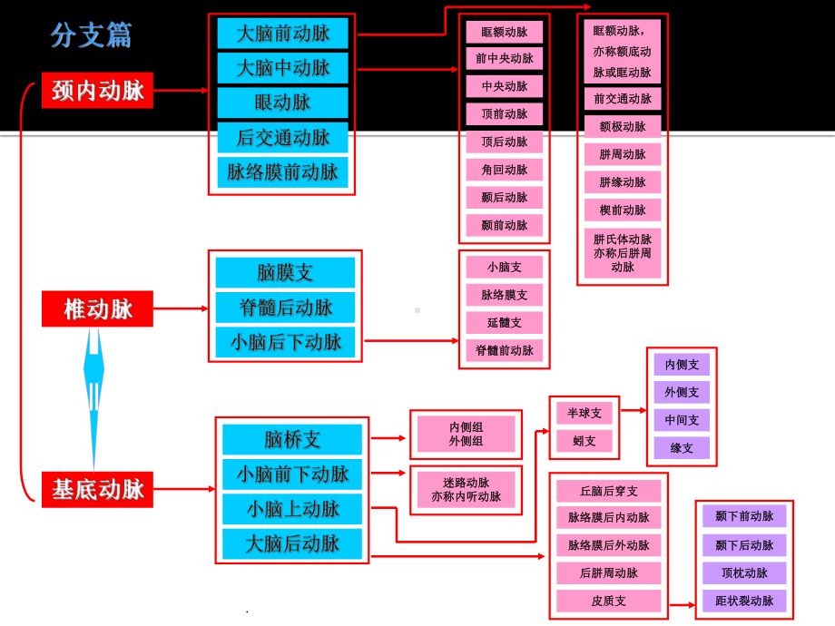 脑动脉侧枝代偿及其评价手段课件.ppt_第3页