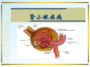 血尿蛋白尿水肿课件.pptx