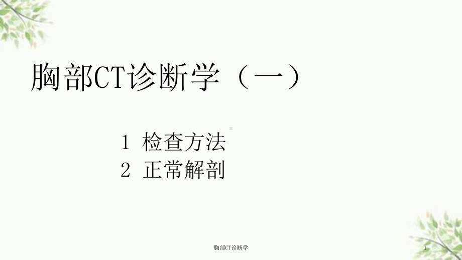 胸部CT诊断学课件.ppt_第1页