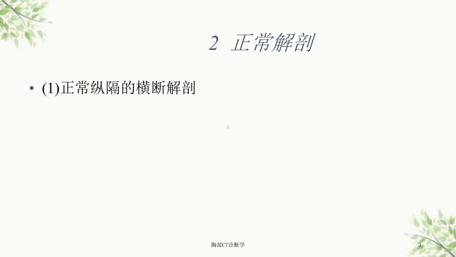 胸部CT诊断学课件.ppt_第3页