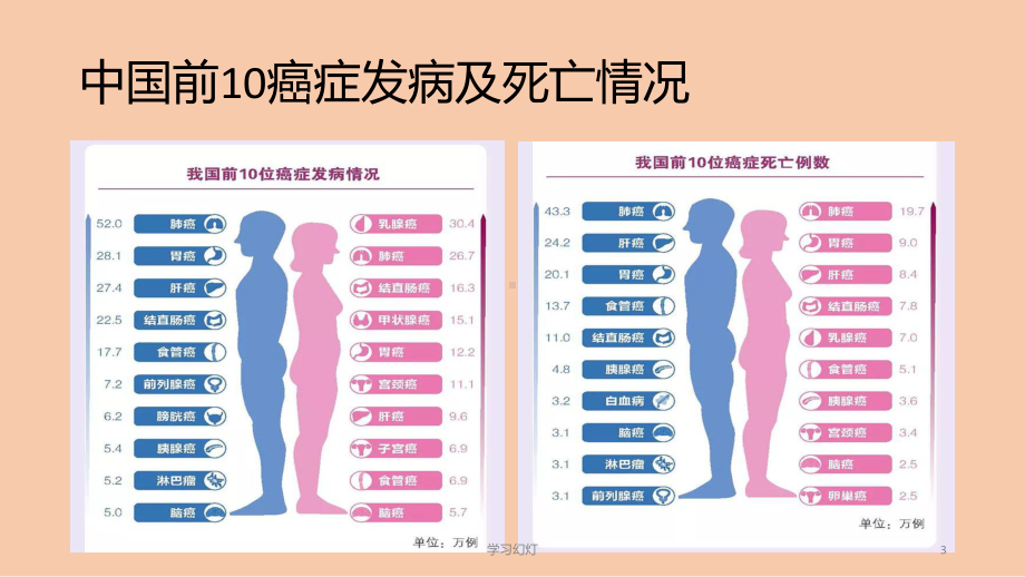 肿瘤流行病学数据课件.ppt_第3页