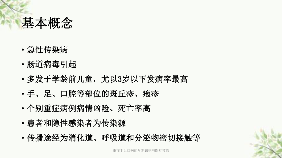 重症手足口病的早期识别与医疗救治课件.ppt_第2页