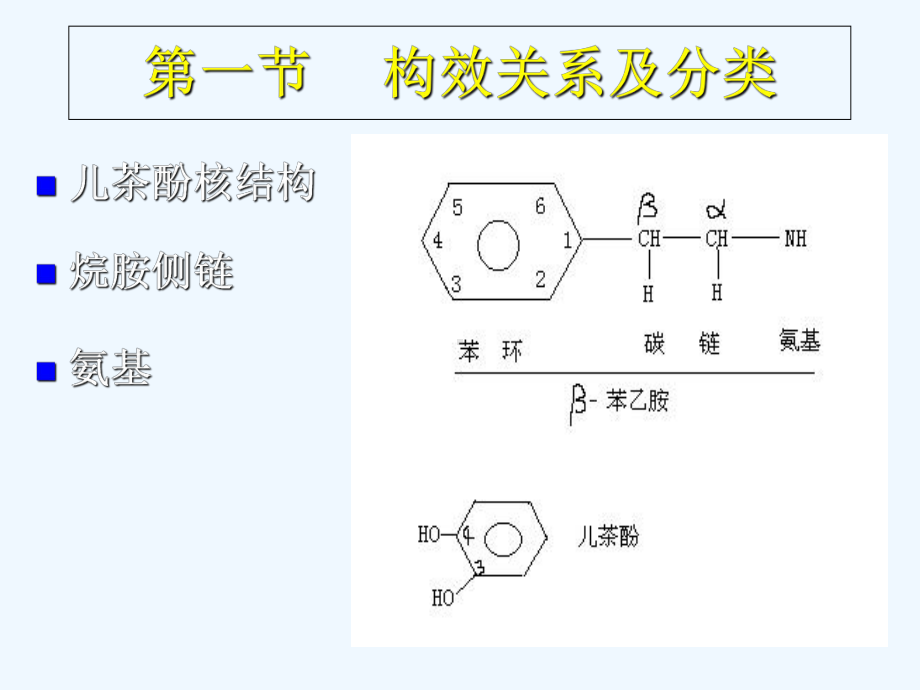 药理学课件肾上腺素受体激动药.ppt_第2页