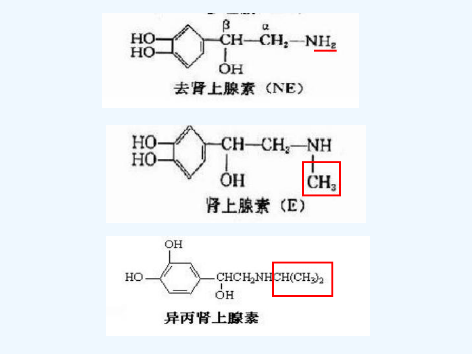 药理学课件肾上腺素受体激动药.ppt_第3页