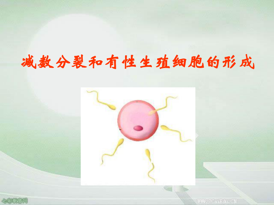 生物必修ⅱ苏教版第二章第一节减数分裂课件.ppt_第2页