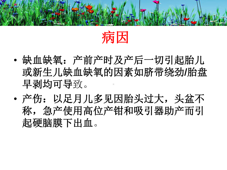 谢艳慧颅内出血课件.ppt_第3页