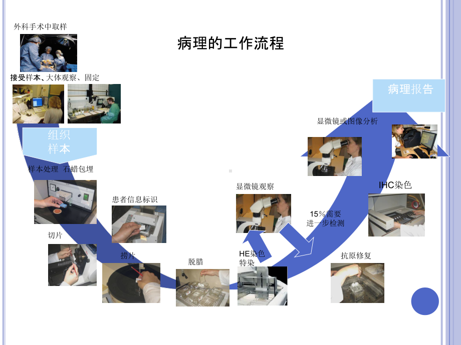 病理工作流程课件.ppt_第2页