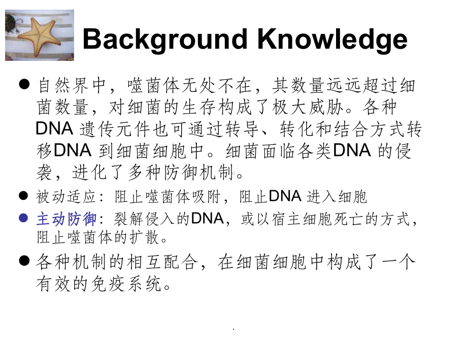 解析细菌免疫系统课件.ppt_第3页