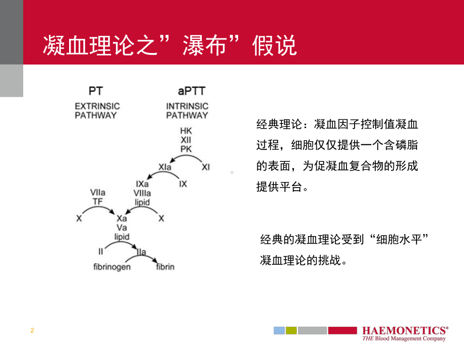 血栓弹力图TEG-课件.ppt_第2页