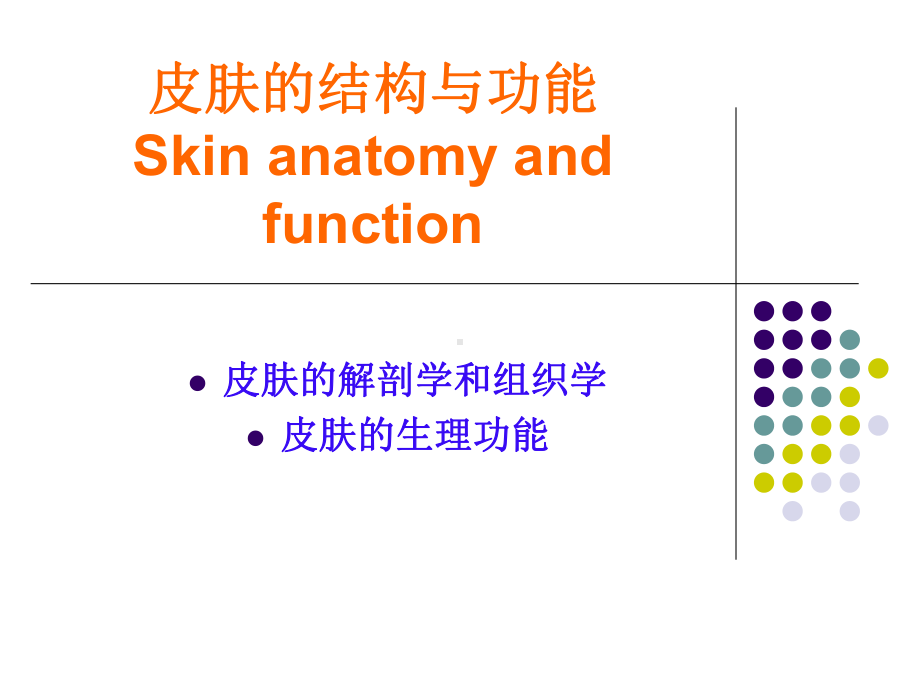 皮肤病学概论-课件.ppt_第3页